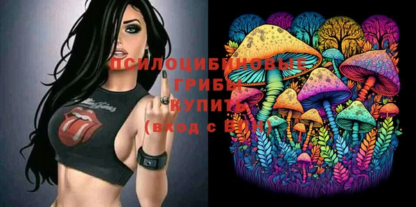 соль ск Волоколамск