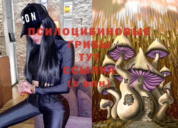 герыч Володарск